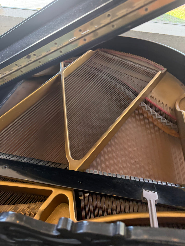 Player/Baby grand. piece of furniture
