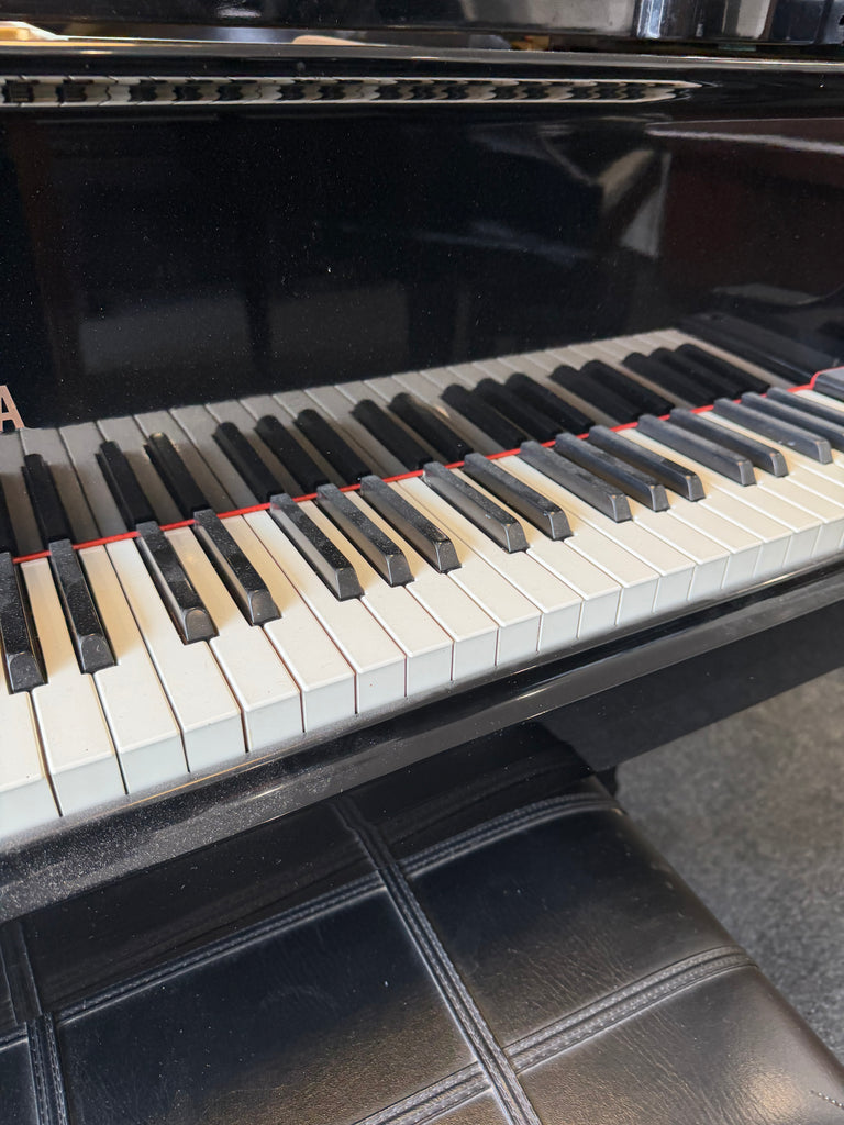 Yamaha C3 conservatory grands