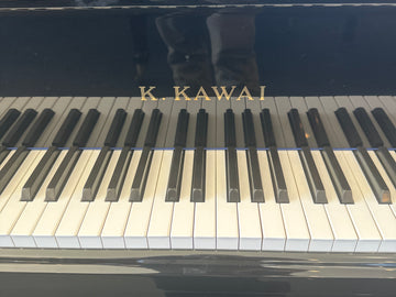 Kawai baby grand/player system