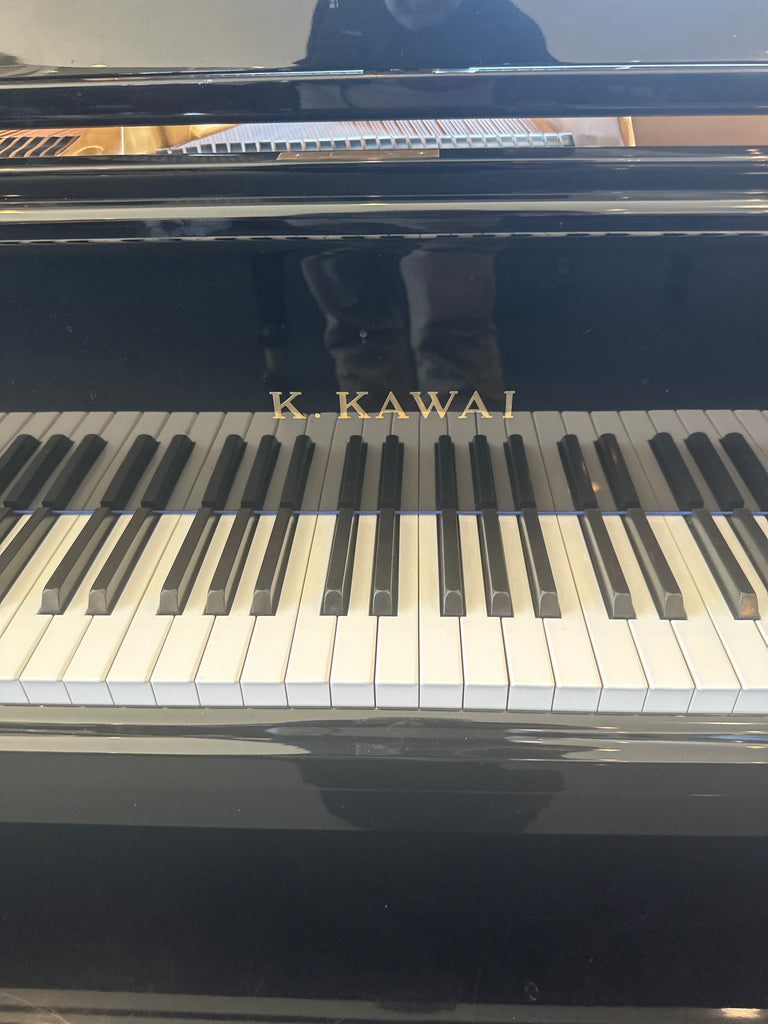 Kawai baby grand/player system