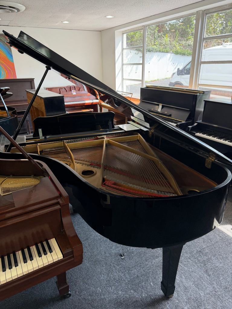 Yamaha C3 conservatory grands
