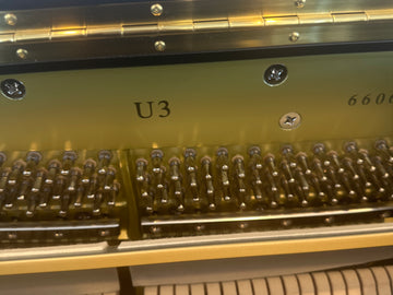 New Yamaha U3