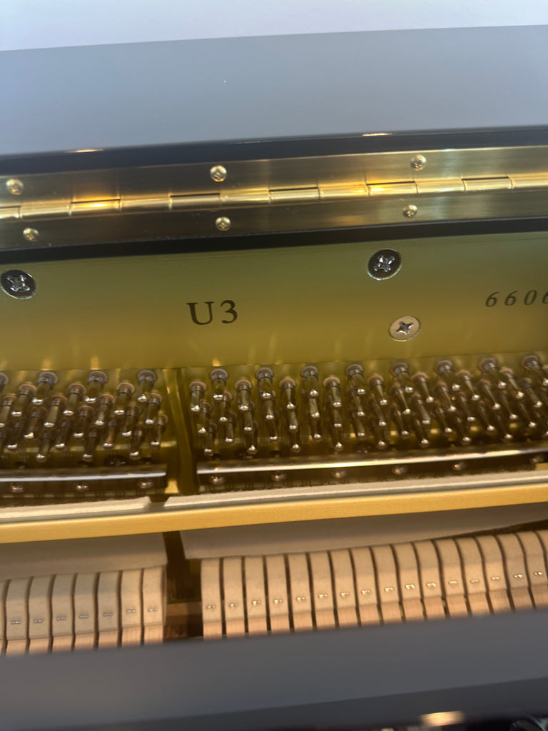 New Yamaha U3