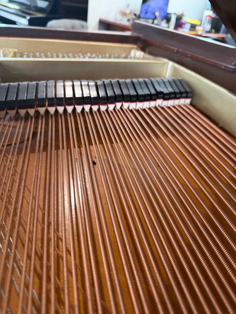 Steinway & Sons 5’7”
