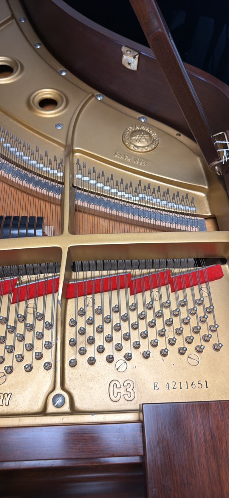 Yamaha C3 6’1”