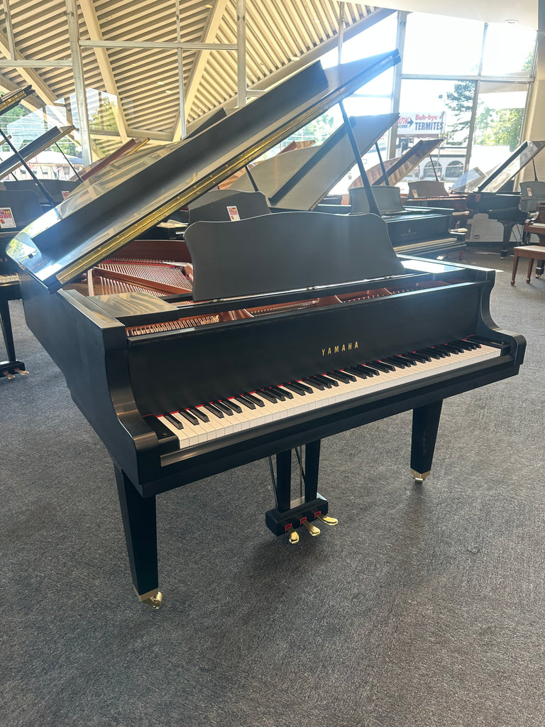 Bergmann  grand piano