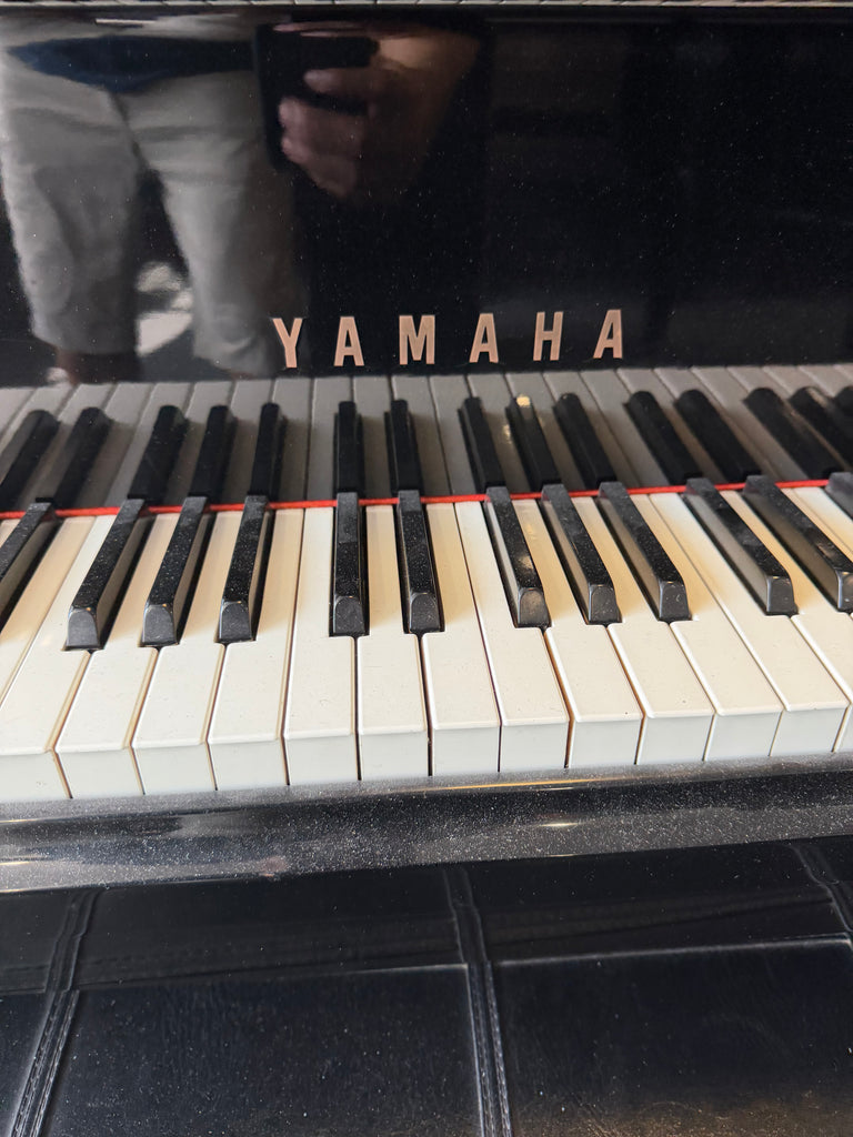 Yamaha C3 conservatory grands