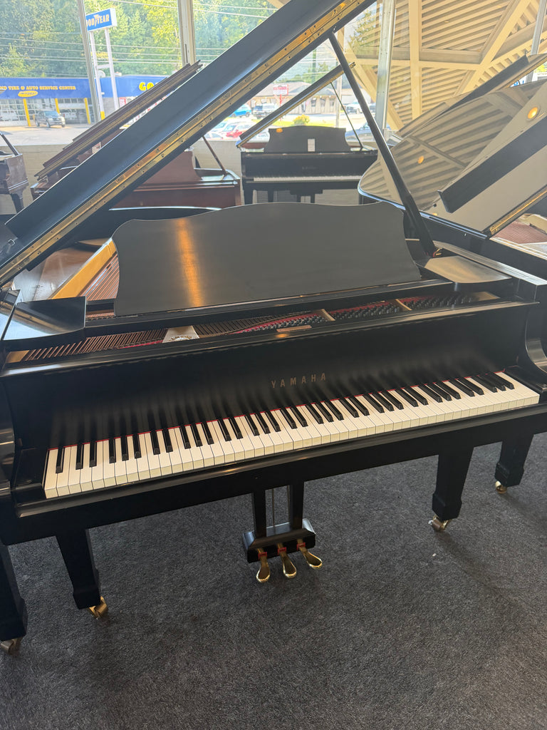 Yamaha G3