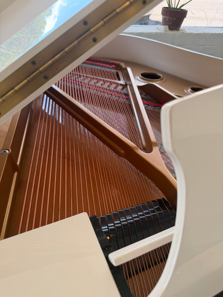 Kohler $ Cambell Baby grand