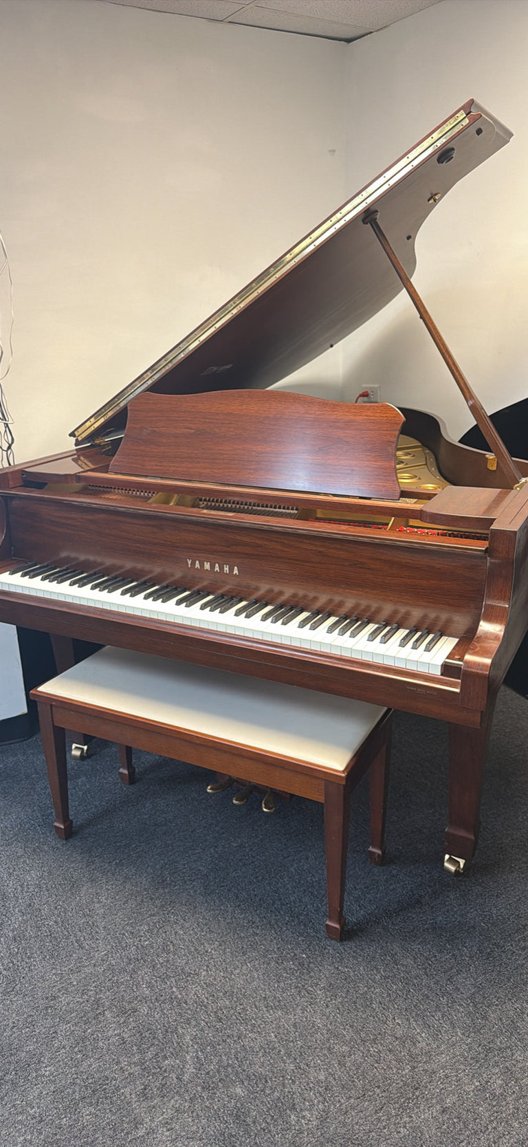 Yamaha C3 6’1”