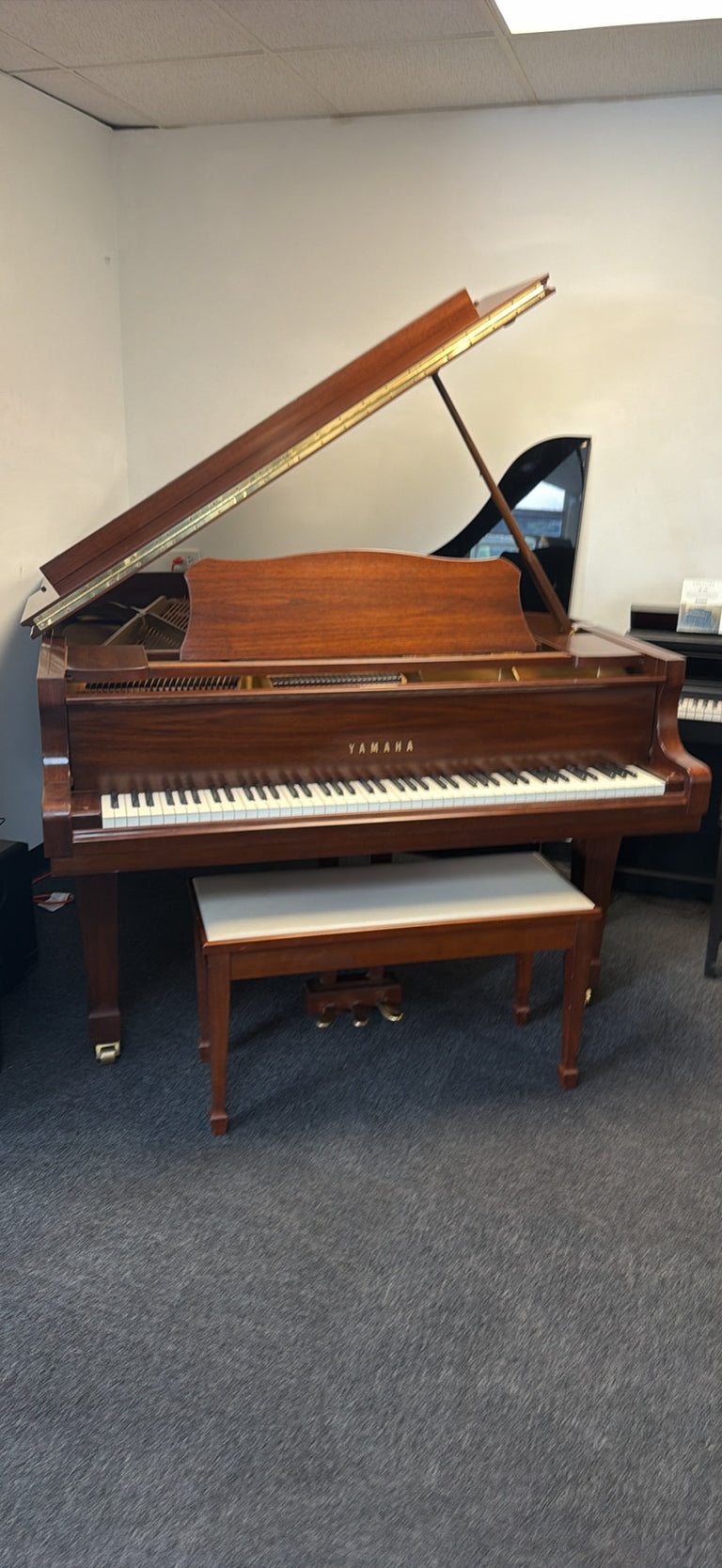 Yamaha C3 6’1”