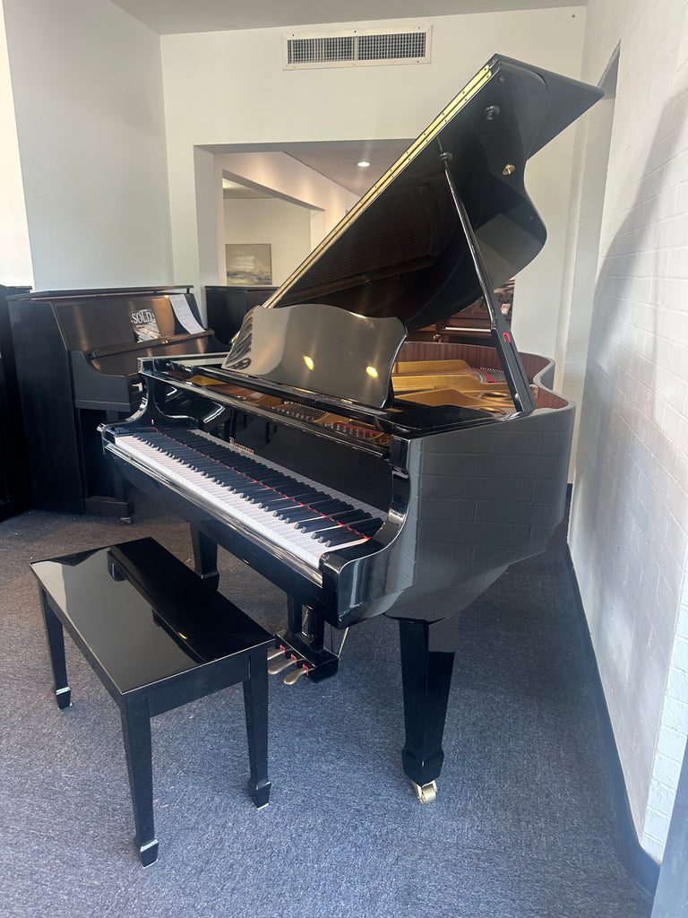 Bergmann  grand piano