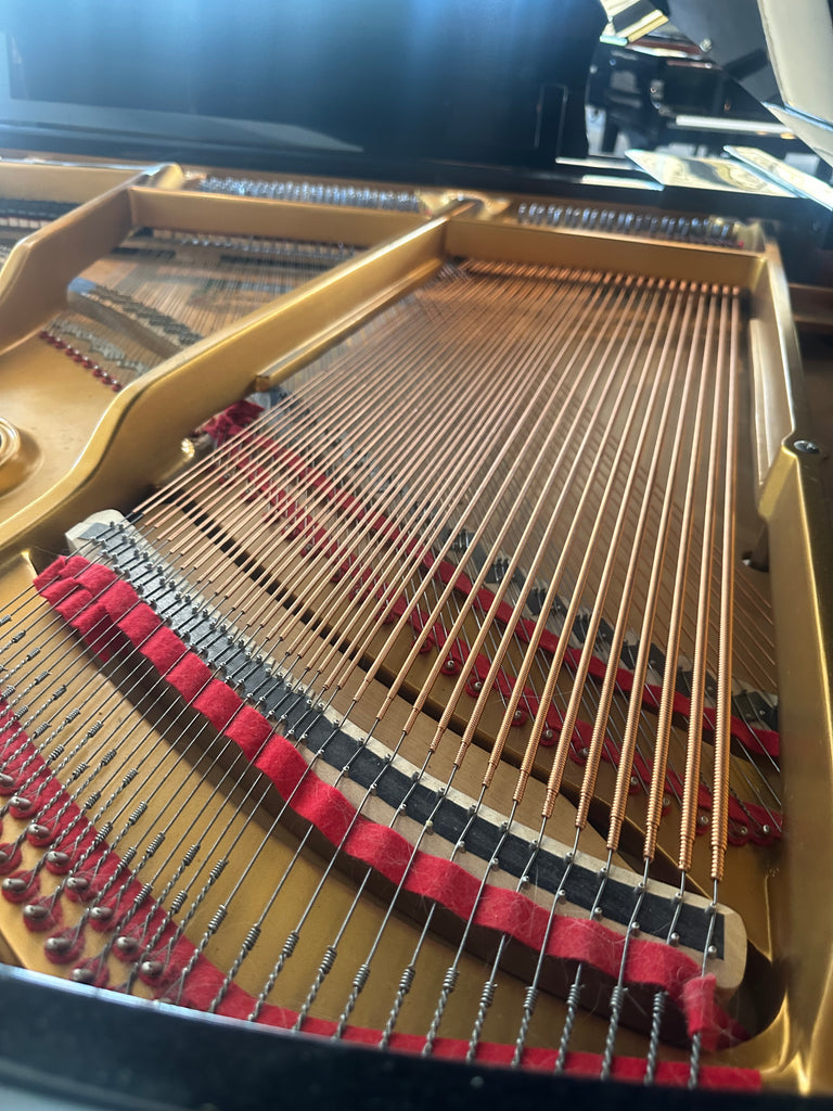 Bergmann  grand piano