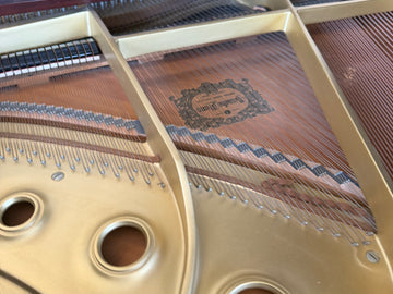 Yamaha G1