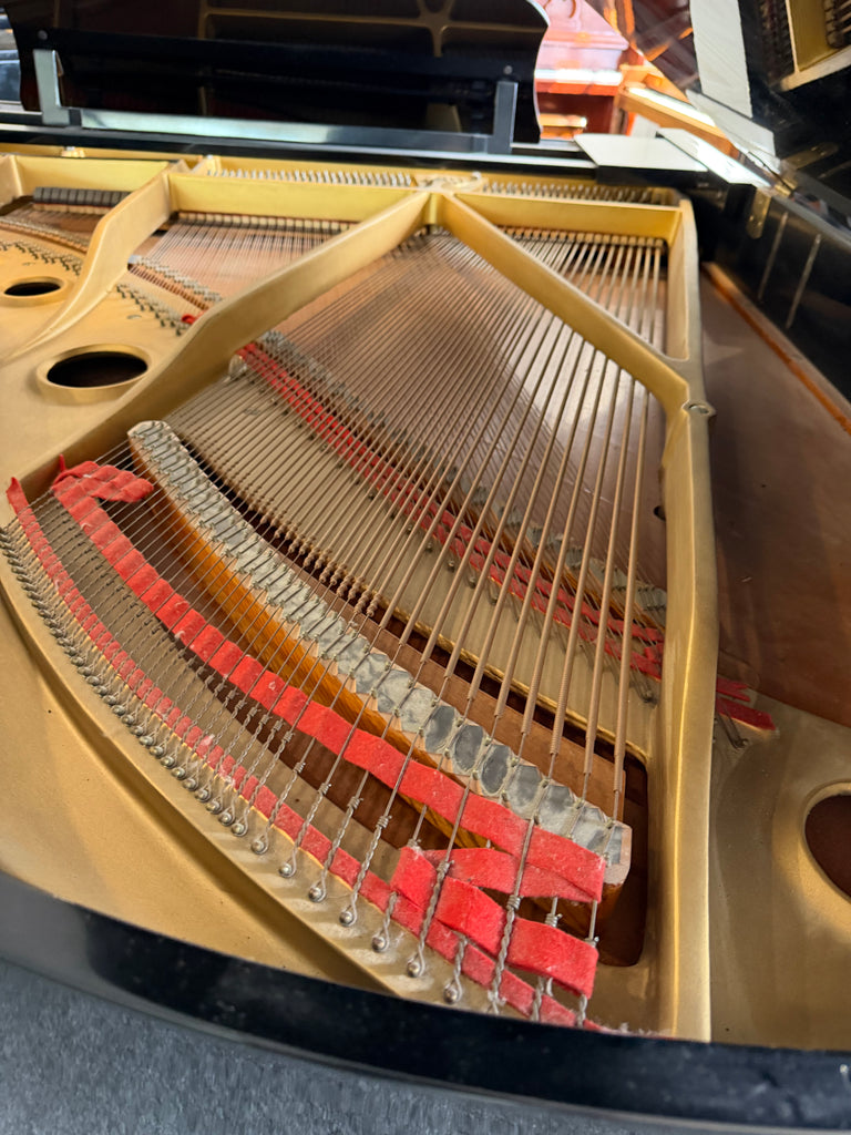 Yamaha C3 conservatory grands