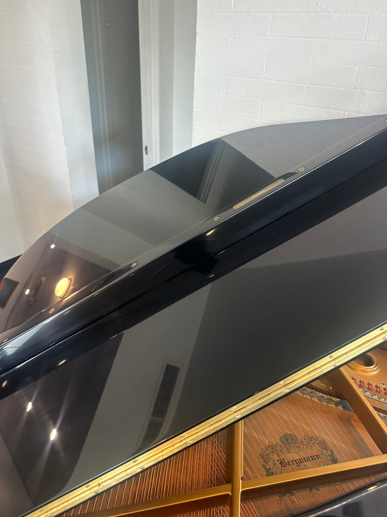 Bergmann  grand piano