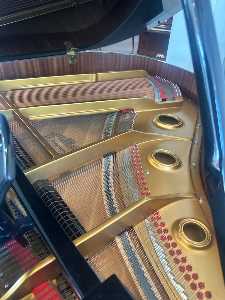 Bergmann  grand piano