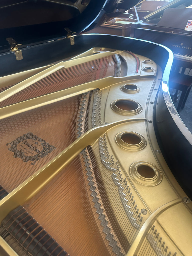 Yamaha C7