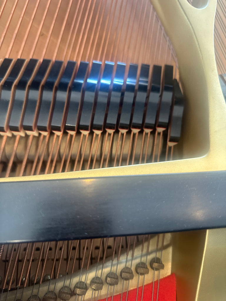 Yamaha C7