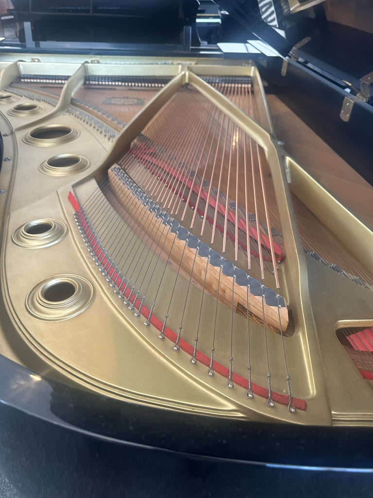 Yamaha C7